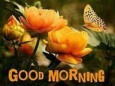 Good morning pictures